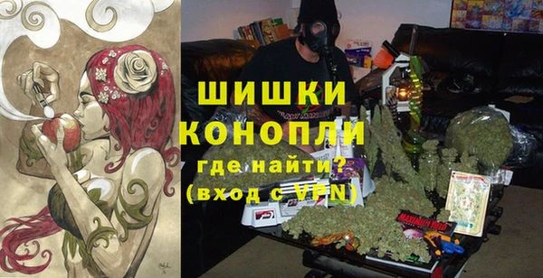 хмурый Рославль