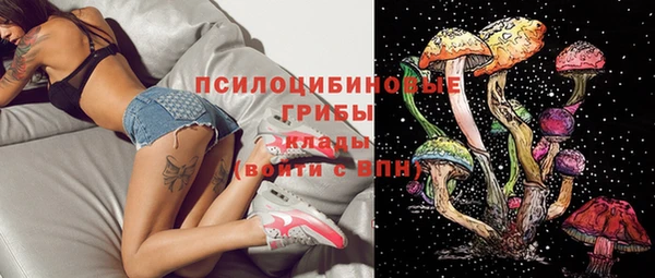 амф Аркадак