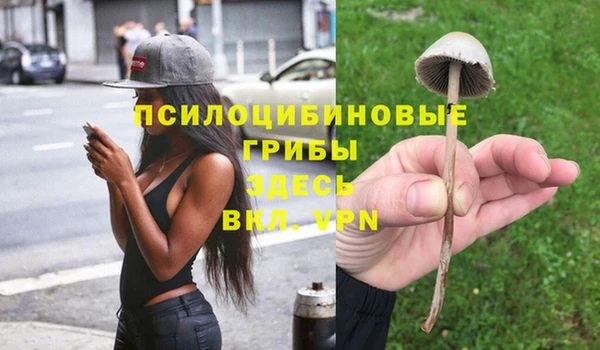 амф Аркадак