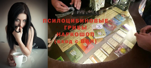 меф Арсеньев