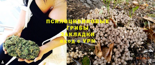 меф Арсеньев