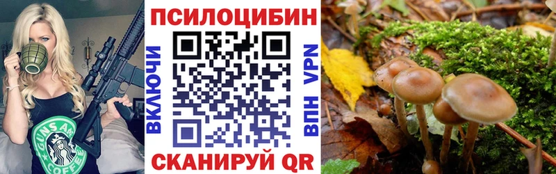 Псилоцибиновые грибы MAGIC MUSHROOMS  Кадников 