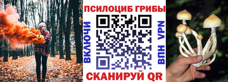 Псилоцибиновые грибы ЛСД Кадников